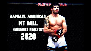 Raphael Assuncao  quotPIT BULLquot 2020 All UFC HighlightsKnockout FullHD [upl. by Nairim]