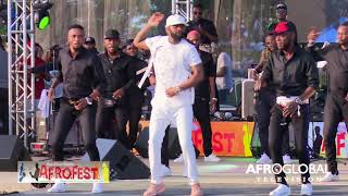 FALLY IPUPA AFROFEST Toronto 2019  Presented by Music Africa of Canada [upl. by Ollehto]