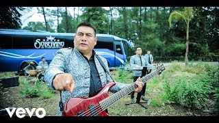 Vida Alegre  VIDEO OFICIAL 2020  Grupo Soberano De Tierra Mixteca [upl. by Annmaria33]