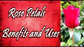 Rose Petals Benefits and Uses [upl. by Forrer]