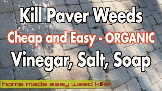 How to get rid of weeds on pavers and driveways Permanently  Organic Way [upl. by Wengert]