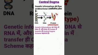 Central Dogma of Molecular Biology  Transcription and Translation centraldogma molecularbiology [upl. by Kermy667]