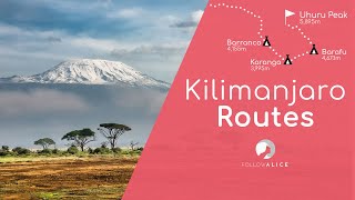 The Kilimanjaro Routes  An Overview  Climb Kilimanjaro 4K [upl. by Jorin]