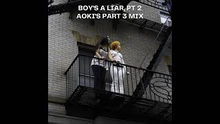 Boys A Liar Pt 2 Aokis Part 3 Mix  Pink Pantheress Ice Spice [upl. by Bassett455]