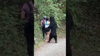 Video de un oso en Monterrey se hace viral jovencita aguanta los nervios [upl. by Ticknor]