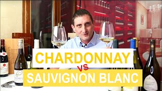 Chardonnay Vs Sauvignon Blanc Comparing the 2 Most Popular Types of White Wine [upl. by Scoles]