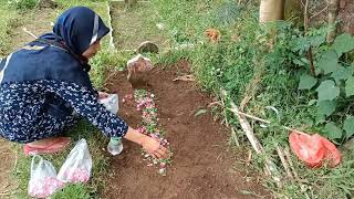 Ziarah ke makam Bapak [upl. by Mall]