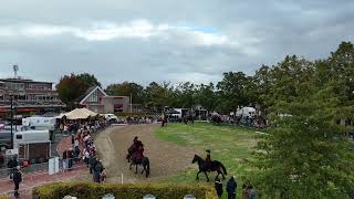 Optreden Friesche Carrousel Groep tijdens 365e Paardenmarkt in Ameide [upl. by Gregorius292]