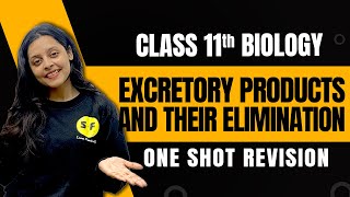 Excretory Products and Their Elimination One Shot Revision Biology  Class 11 Biology By Sonam Maam [upl. by Aridan]