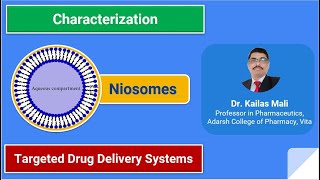 Targeted Drug Delivery System ll Niosomes ll Characterization and Applications ll NDDS ll Part VIII [upl. by Nagah153]