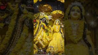 Hare Krishna hare Krishna youtubetrending virelshorts virelshorts trendingshorts [upl. by Lladnik560]