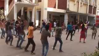 Icc T20 World Cup 2014 flash mob govt Shahid Sohrawardi College [upl. by Josephina]