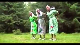 Dereje Jalata  Guraamalee Oromo Music [upl. by Haeluj184]