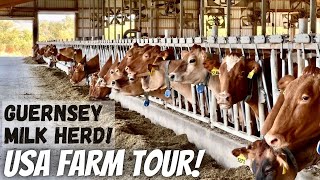 Touring Hoards Dairyman Farm [upl. by Qulllon]