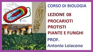 La Cellula Procariota  Struttura e funzioni dei Batteri 🦠 [upl. by Rame]