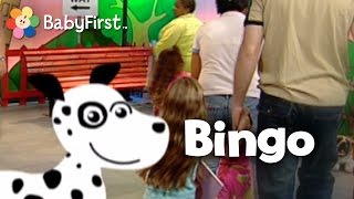 Bingo Kids Dance Song  Music Videos  BabyFirst TV [upl. by Illona260]