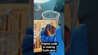 Original oudh in making viralshorts trending oudh attar perfumemaking fragrance [upl. by Enneiviv218]