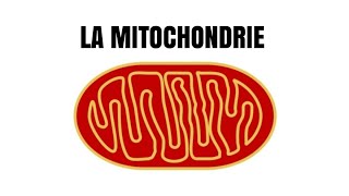 La mitochondrie [upl. by Biddie]