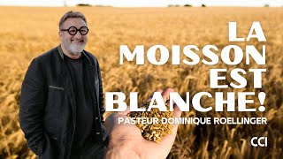 La moisson est blanche Pst Dominique ROELLINGER [upl. by Ardnnaed]