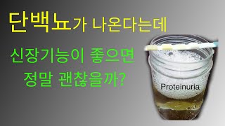 단백뇨가 나오지만 신장기능이 괜찮다던데 정말일까 [upl. by Walcoff]