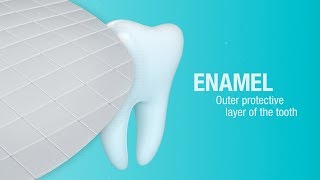 How Does Pronamel® Toothpaste Help Strengthen Enamel  Pronamel® [upl. by Abernon618]