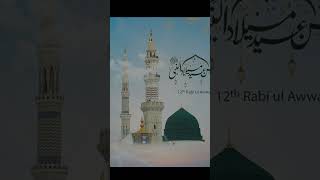 12 rabi ul awa dl 2024 [upl. by Trauts448]