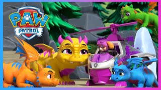 Pups Stop Humdinger’s Kitty Rescue Crew and More  PAW Patrol  Cartoons for Kids [upl. by Nallaf]