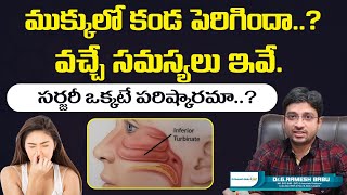 ముక్కులో కండ పెరిగిందా  What causes Inferior Turbinate Hypertrophy  Dr Ramesh Babu ENT [upl. by Nofets450]