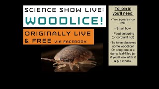 The Science of Woodlice For all ages [upl. by Dahlstrom443]