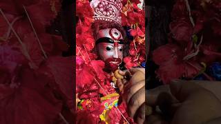 Chupchap baithe hai sarkar  kitni parichha li hai bhagwan  log has rahe hai hai jaibajrangbali [upl. by Aerda599]