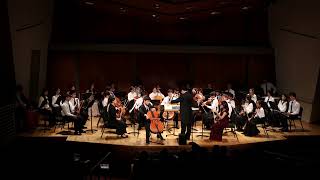 Goltermann Cello Concerto No 5 [upl. by Leiso]