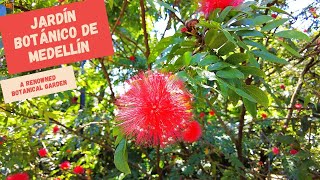 Exploring Jardín Botánico de Medellín  Colombias Breathtaking Botanical Garden [upl. by Alyakcim]