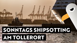 Sonntags Shipspotting am Tollerort ⚓️ Hamburg Hafen Live [upl. by Mcclary]