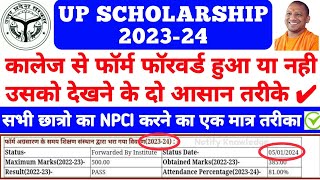 UP Scholarship Status Kaise Dekhe 202324  UP Scholarship NPCI Problem 2023 upscholarship2023 [upl. by Ys]