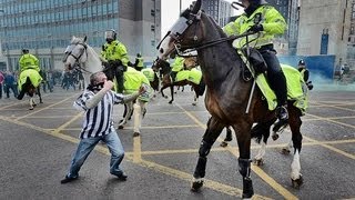 Newcastle Fan Punches A Horse [upl. by Naut]