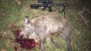 Alex Pro Firearms 308 Hog amp Coyote Hunting [upl. by Haidebej356]