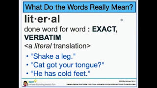 Literal vs Nonliteral Words  3rd Grade Reading  eSpark Instructional Video [upl. by Laufer807]