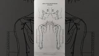 About Small intestine meridian TREATISE 7 PAGE NO 223 TO 225 [upl. by Adnohsak]