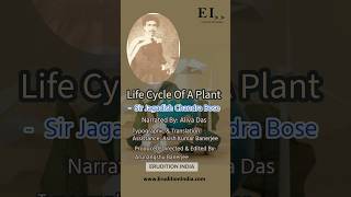 Life Cycle Of A Plant  Shorts Promo  Check Longer Video Linked Herewith [upl. by Hollingsworth8]