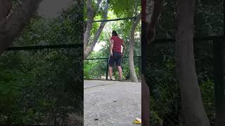 Pullups and Dive Bomber Pushups ladder 13 [upl. by Haraj]