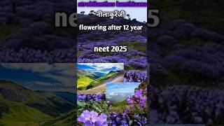 Rarest Flower in India Blooms Once in 12 years neelakurinji [upl. by Newhall905]