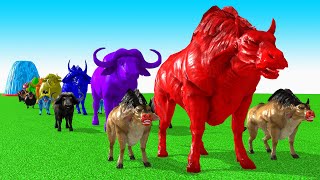 Paint Animals Cow CartoonBuffaloBullyakOxFountain Crossing Animal Game [upl. by Adalbert902]