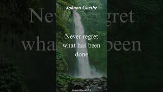 Quotes by Johann Goethe motivation philosopher quotes [upl. by Gamali146]