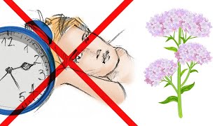 Why VALERIAN ROOT Should NOT be Taken for Sleep [upl. by Hekker689]