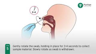 How to Collect a Nasal Swab Specimen [upl. by Uol]