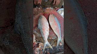 How To Cut A Big Hilsa ilish Fish with Egg By Expert Fish Cutter 😱 shorts [upl. by Auqenet460]