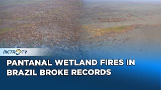 Pantanal Wetland Fires In Brazil Broke Records [upl. by Snej]