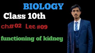 Functioning of kidney Class 10 biology chapter 02  Lecture 09 learnbiology [upl. by Atikir]