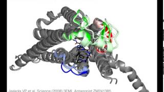 A2A Adenosine receptor with sound [upl. by Yenahc477]