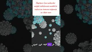 Immunogen Antigen Haptens amp Epitopes مفاهيم مهمة لفهم المناعة medicalstudent lnl immunology [upl. by Lennod]